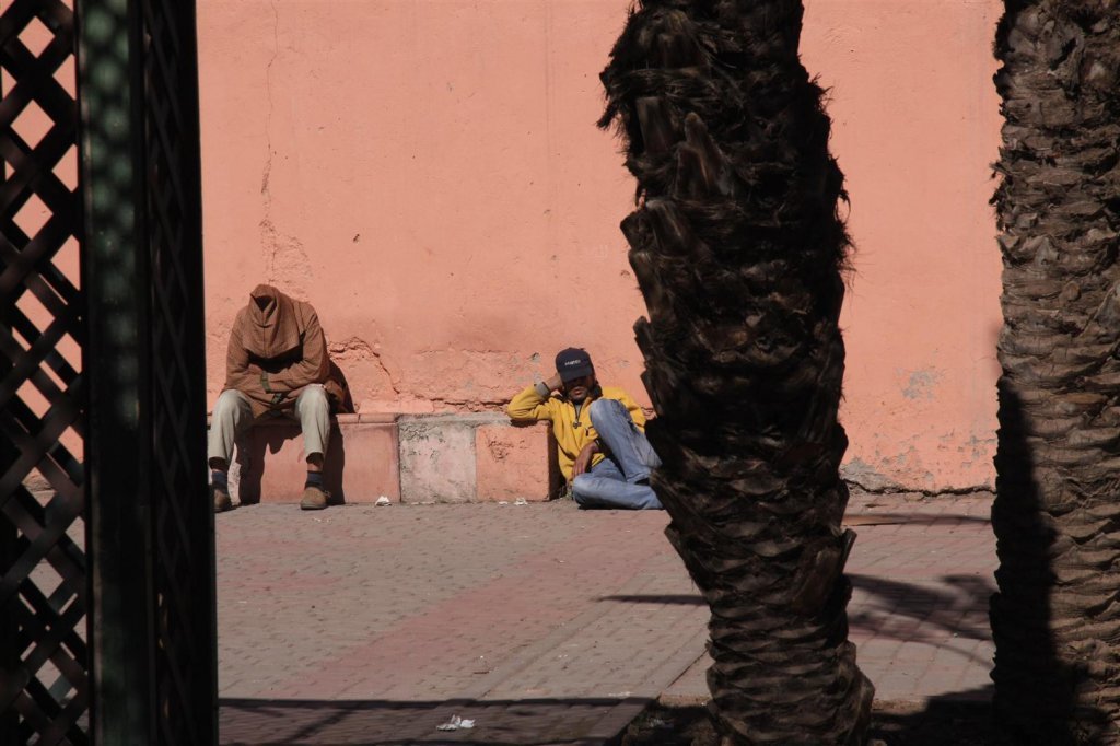 IMG_2423 (Large).JPG