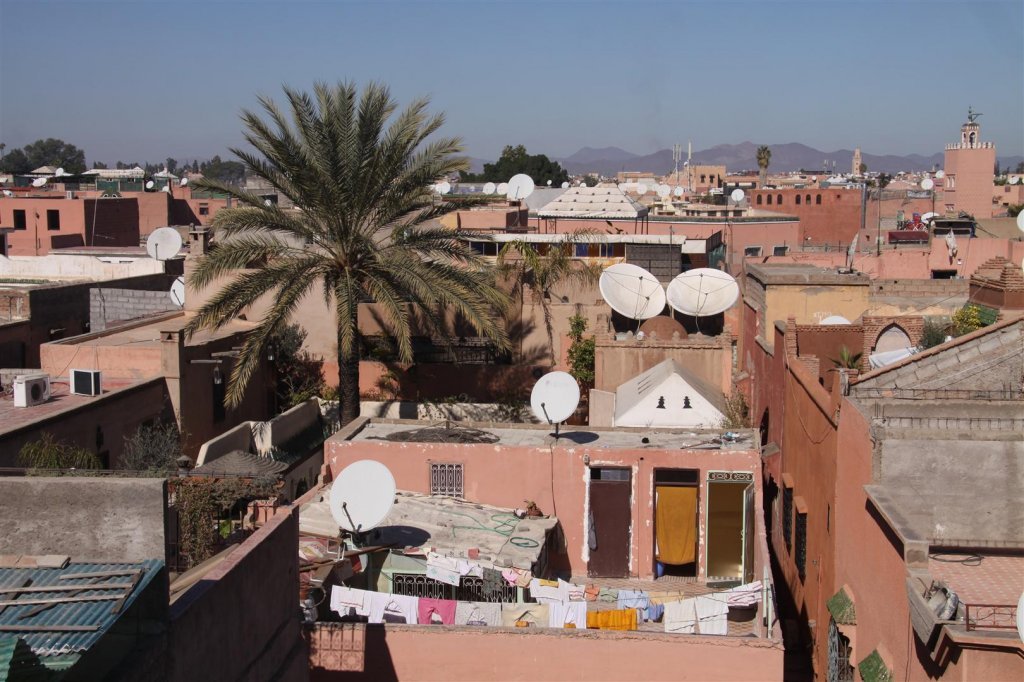 IMG_2484 (Large).JPG