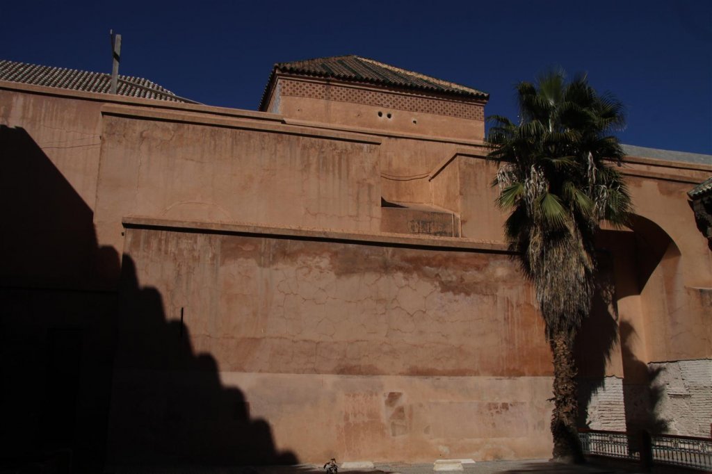 IMG_2560 (Large).JPG