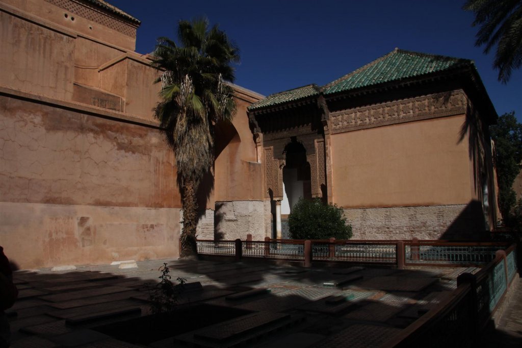 IMG_2564 (Large).JPG