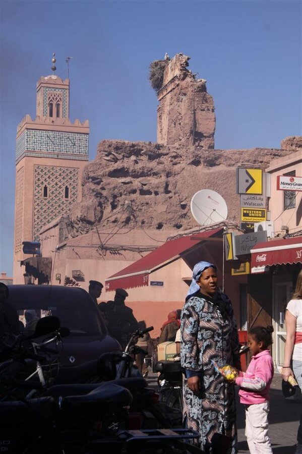 IMG_2597 (Large).JPG