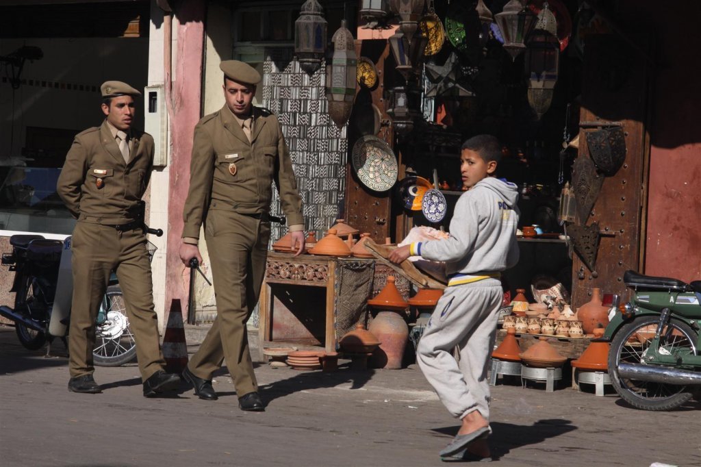 IMG_2614 (Large).JPG