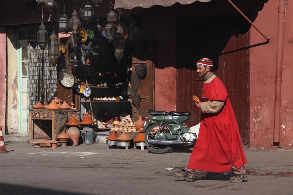 IMG_2619 (Large).JPG