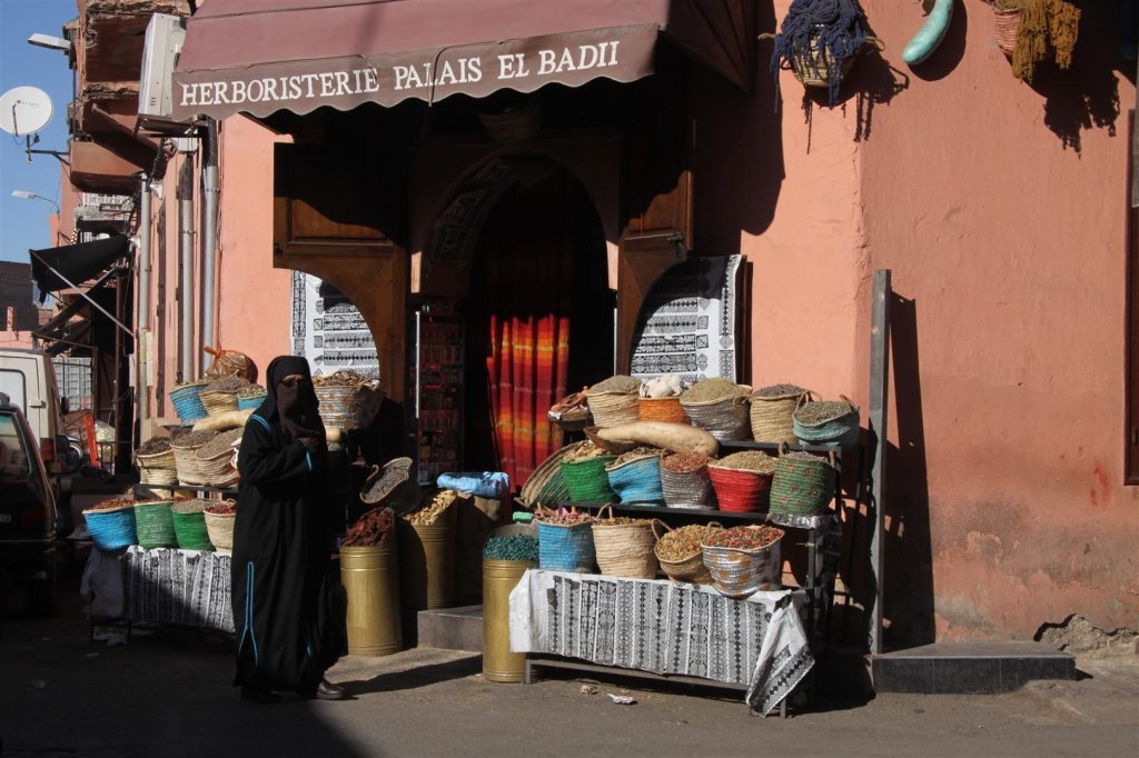 IMG_2633 (Large).JPG