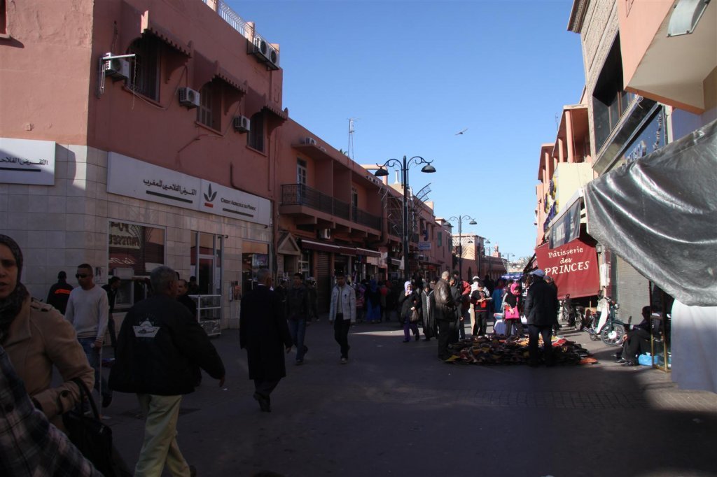 IMG_2641 (Large).JPG