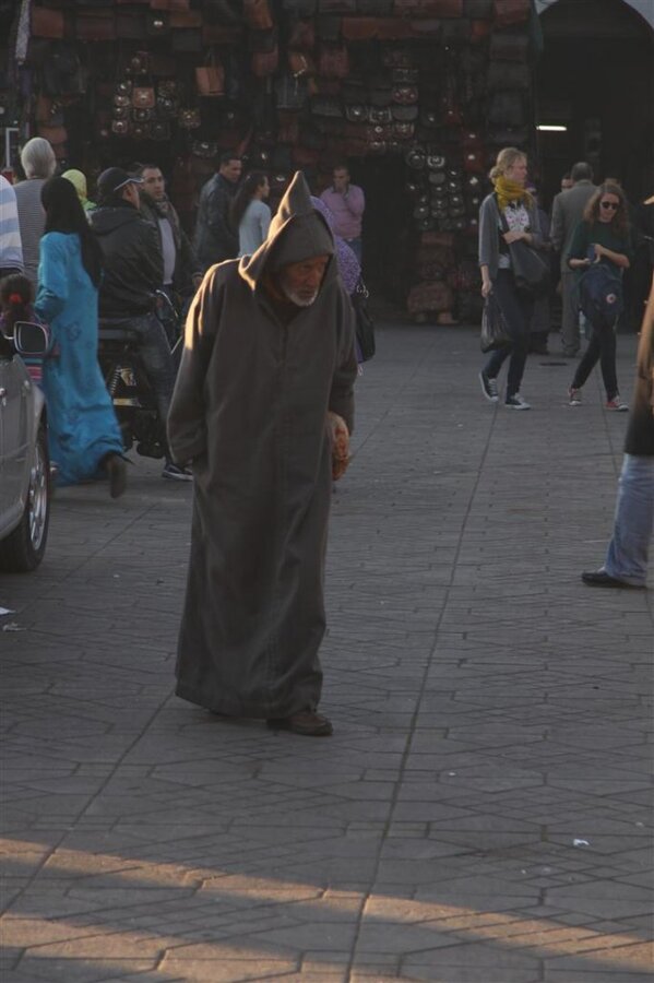 IMG_2650 (Large).JPG