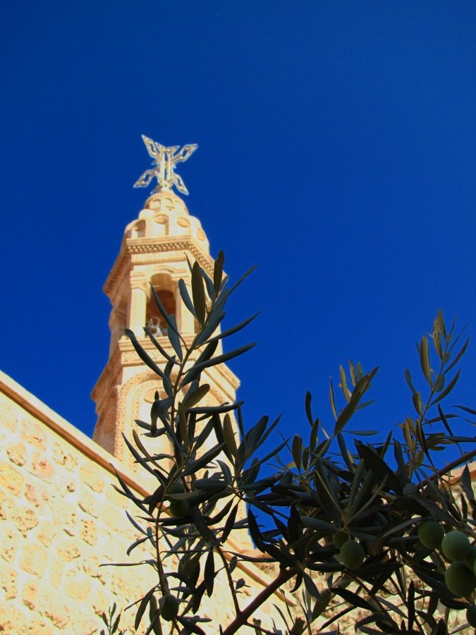 IMG_2800p.jpg