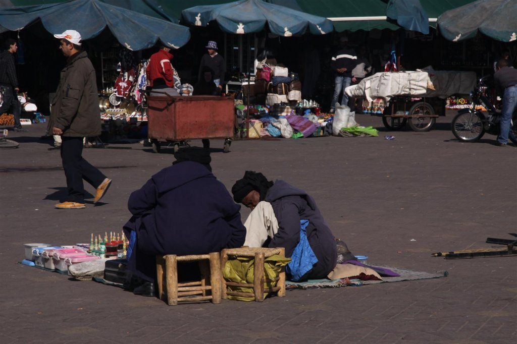 IMG_2823 (Large).JPG