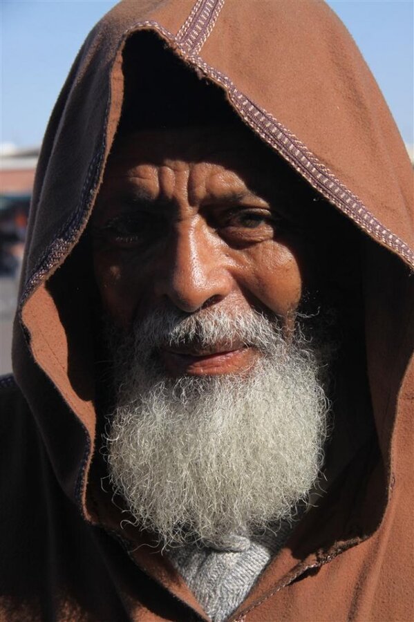 IMG_2836 (Large).JPG