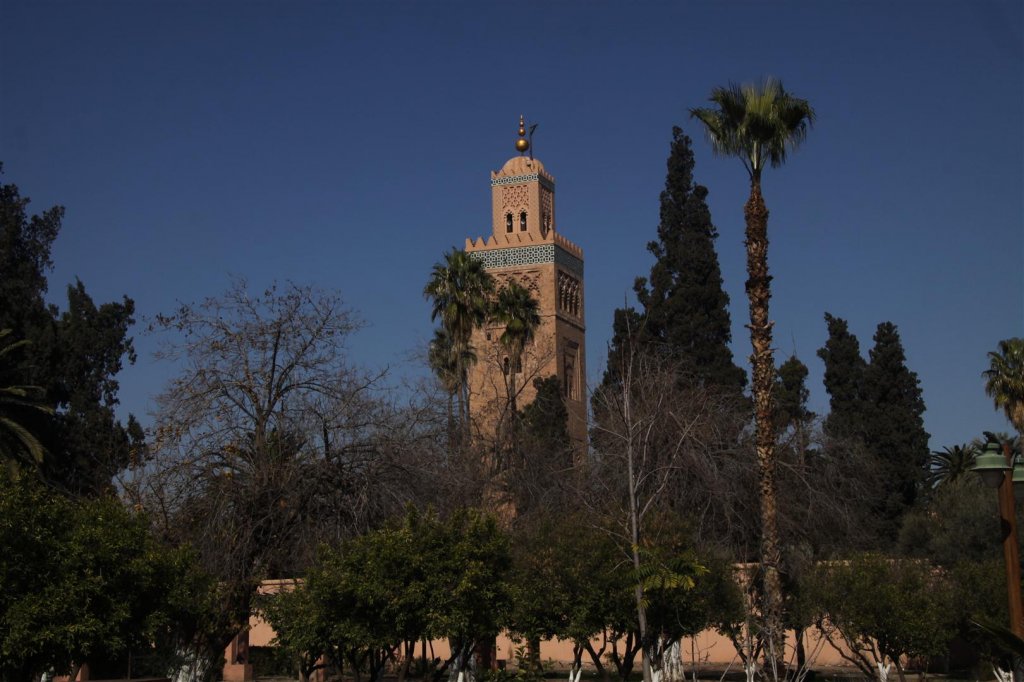 IMG_2845 (Large).JPG