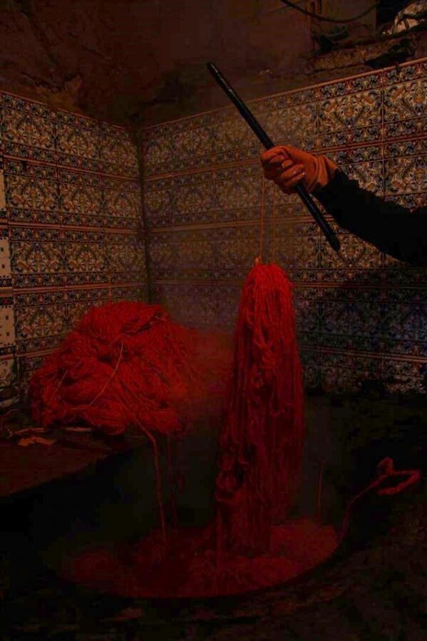 IMG_2887 (Large).JPG2.jpg