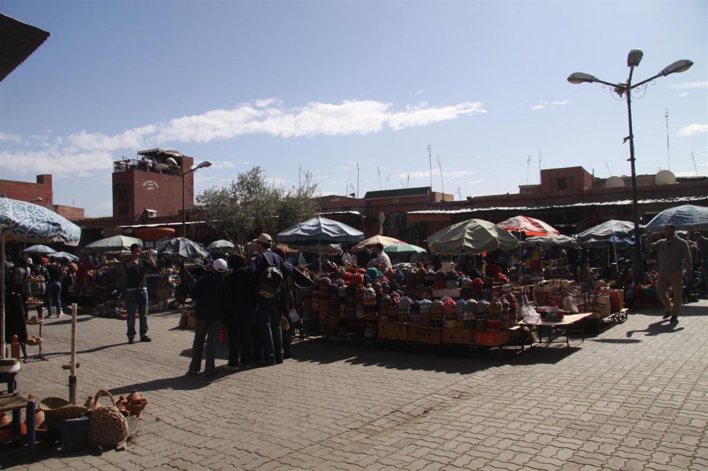 IMG_2896 (Large).JPG