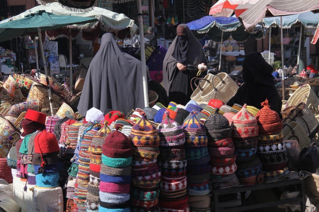 IMG_2908 (Large).JPG