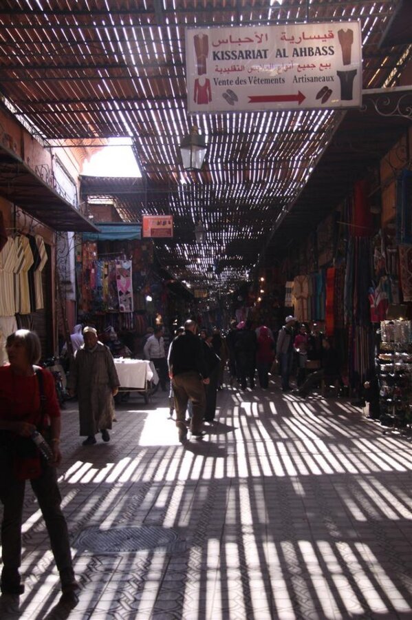 IMG_2910 (Large).JPG