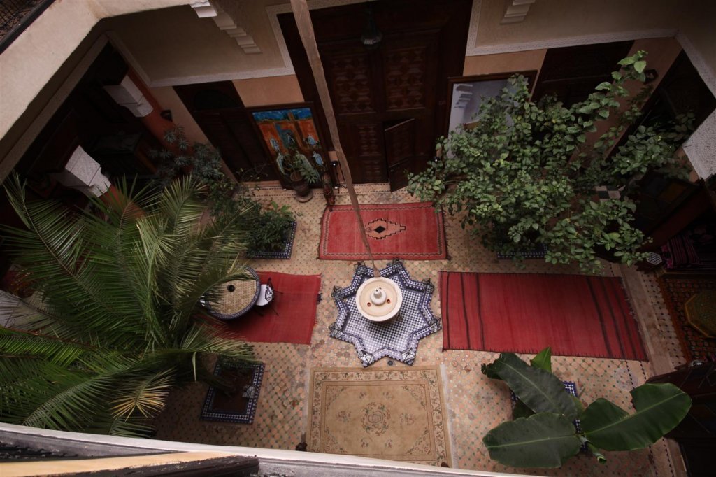 IMG_2936 (Large).JPG