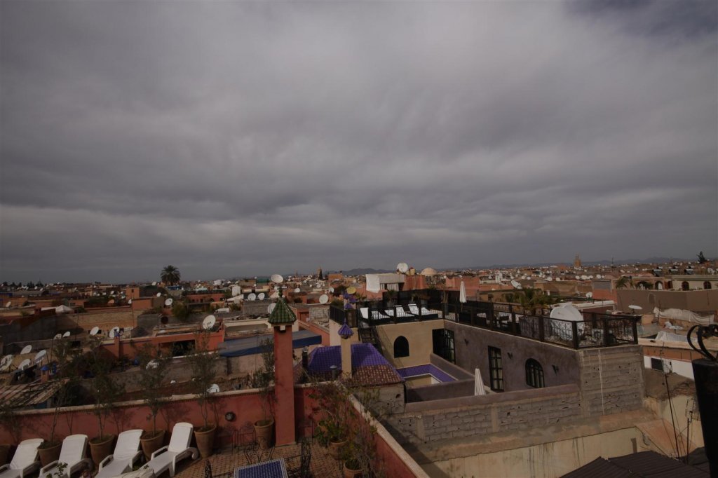 IMG_2953 (Large).JPG