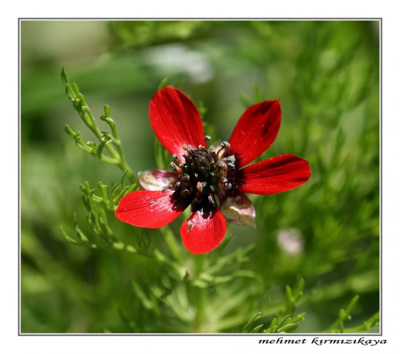 IMG_2961x8.jpg