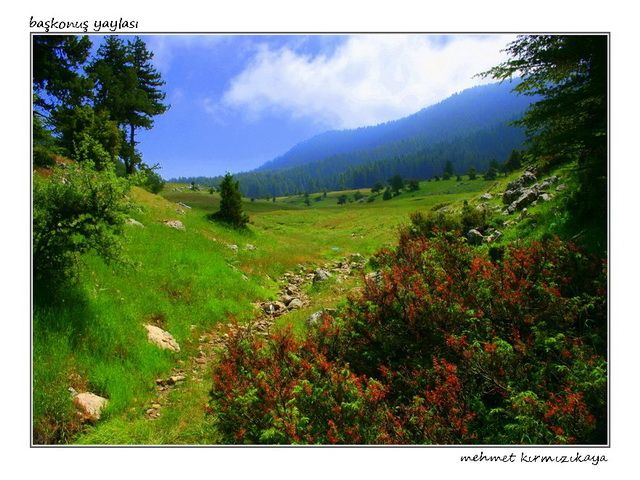 IMG_2985  J.jpg     G.jpg