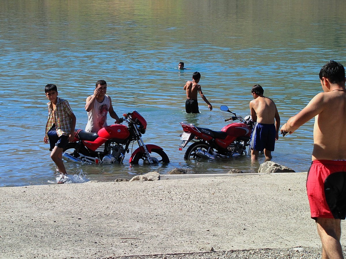IMG_2988p.jpg