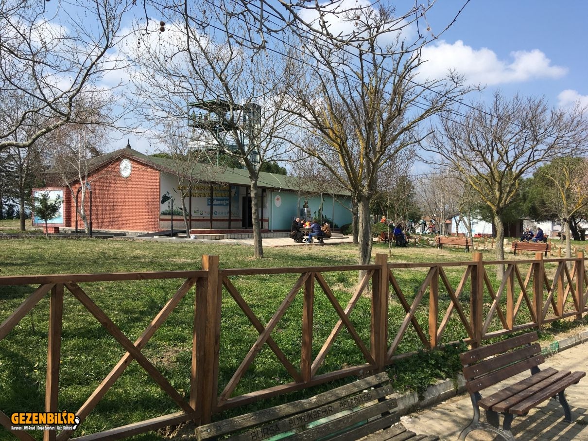 IMG_2993.JPG IMG_2993.JPG