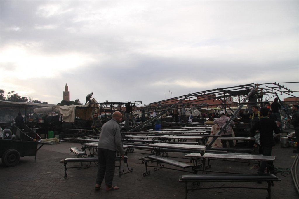 IMG_3079 (Large).JPG