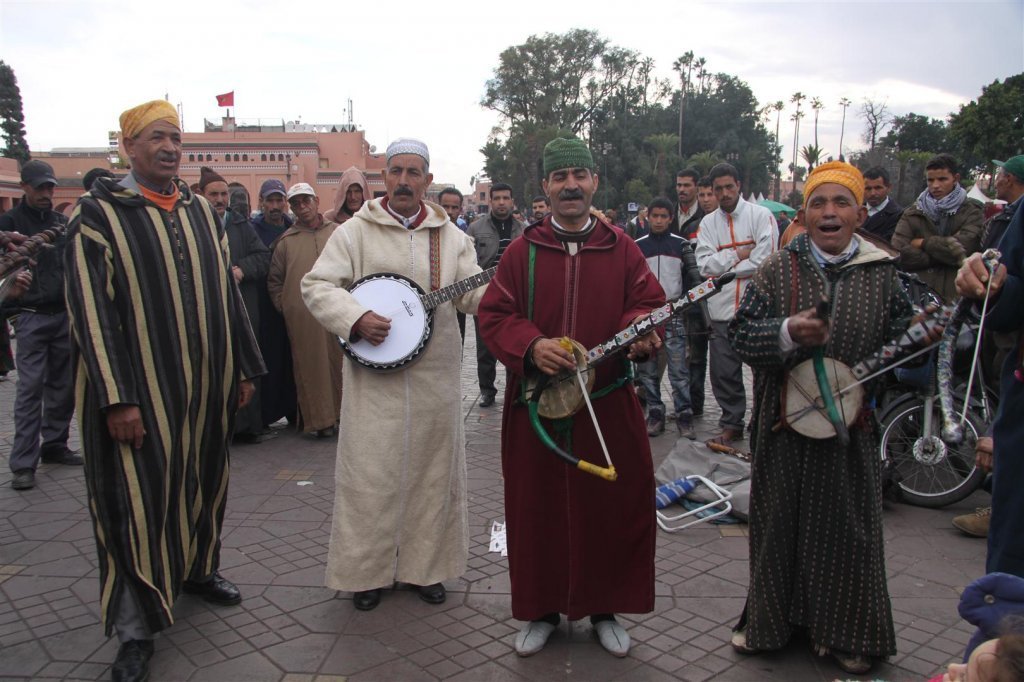 IMG_3102 (Large).JPG