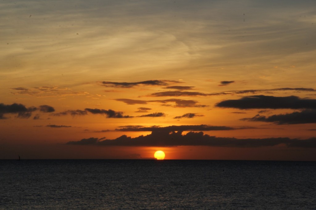 IMG_3105 (Large).JPG