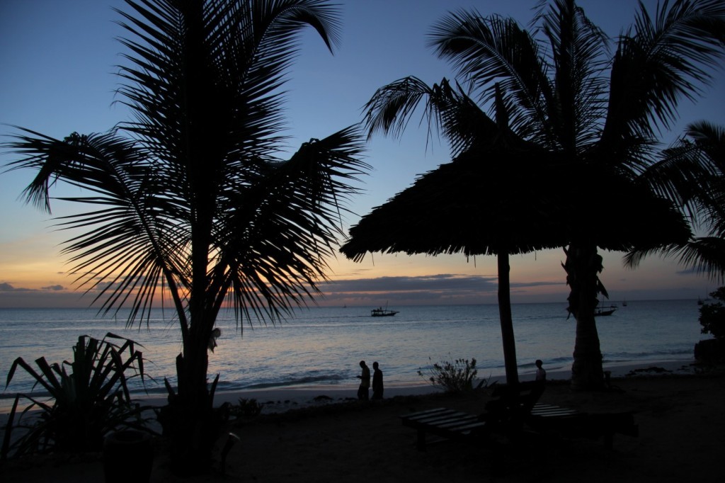 IMG_3110 (Large).JPG