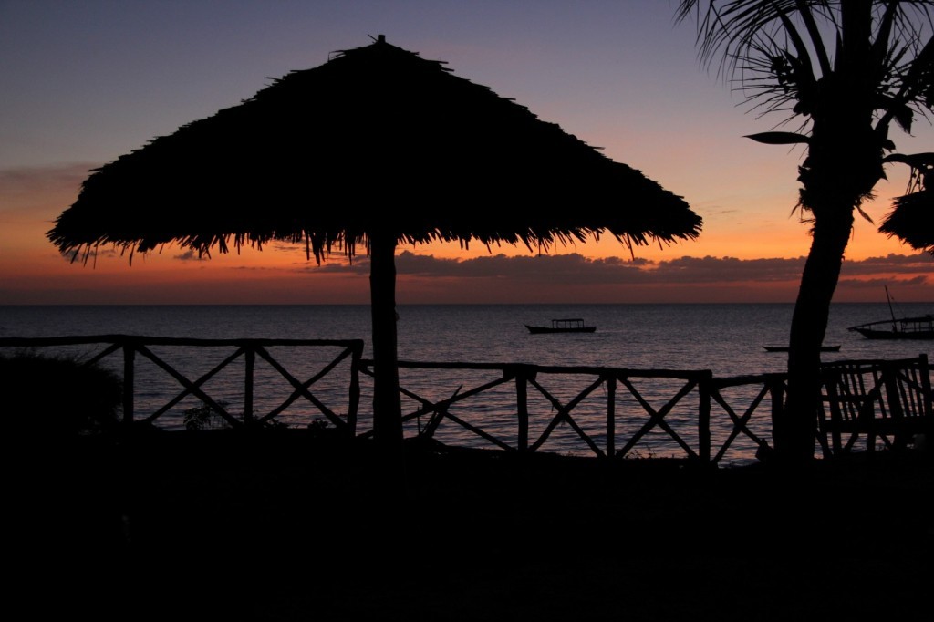 IMG_3153 (Large).JPG