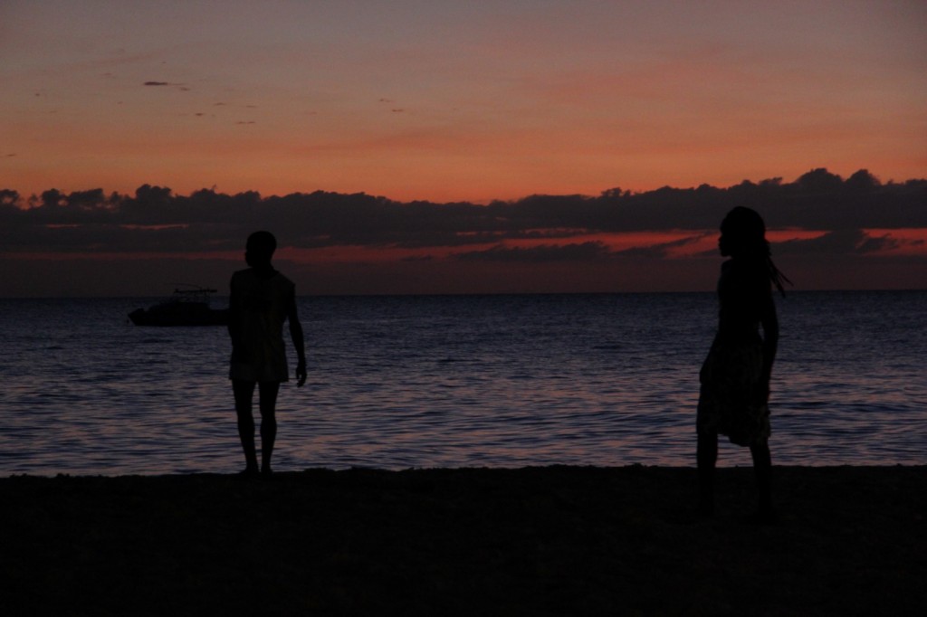 IMG_3162 (Large).JPG