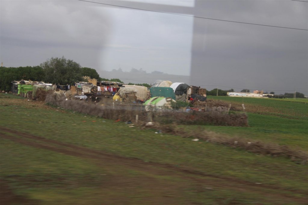 IMG_3181 (Large).JPG