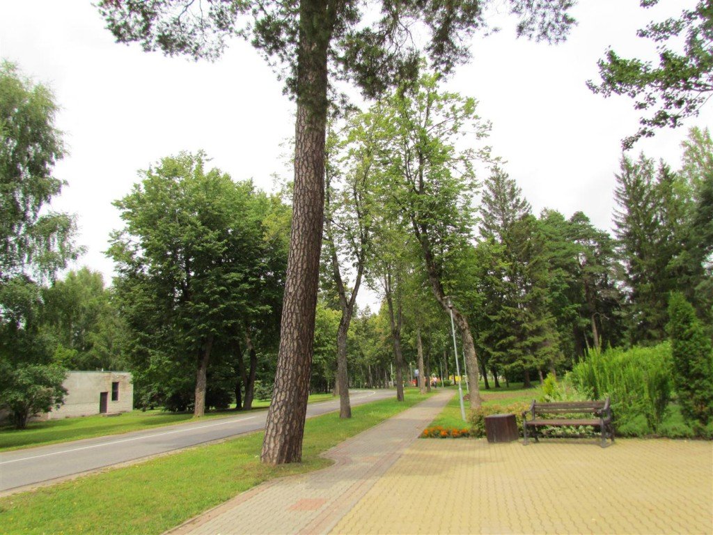 IMG_3324 (Large).jpg