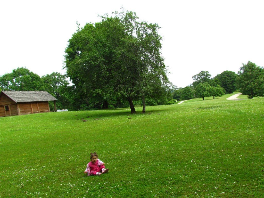 IMG_3392 (Large).jpg