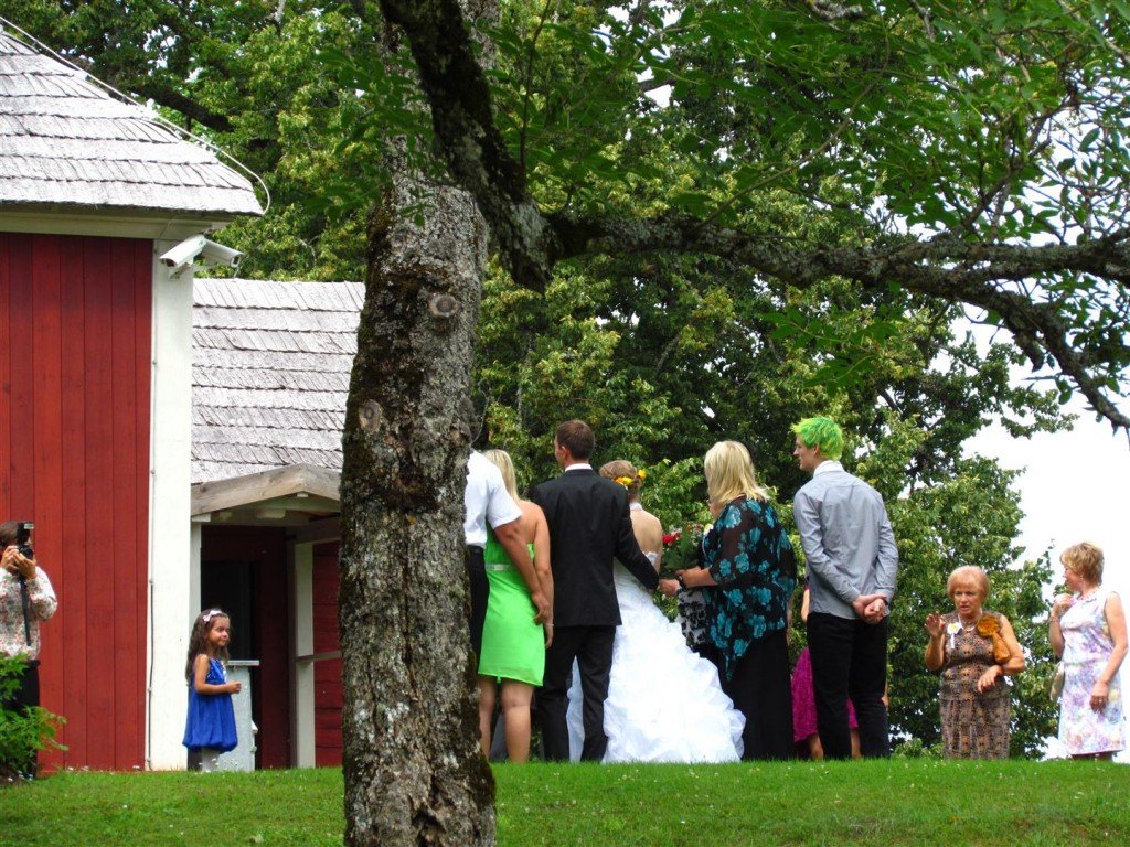 IMG_3394 (Large).jpg