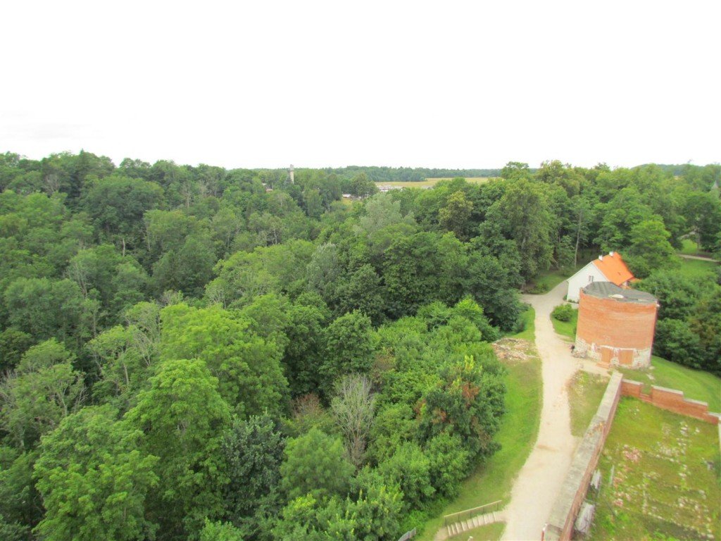 IMG_3458 (Large).jpg