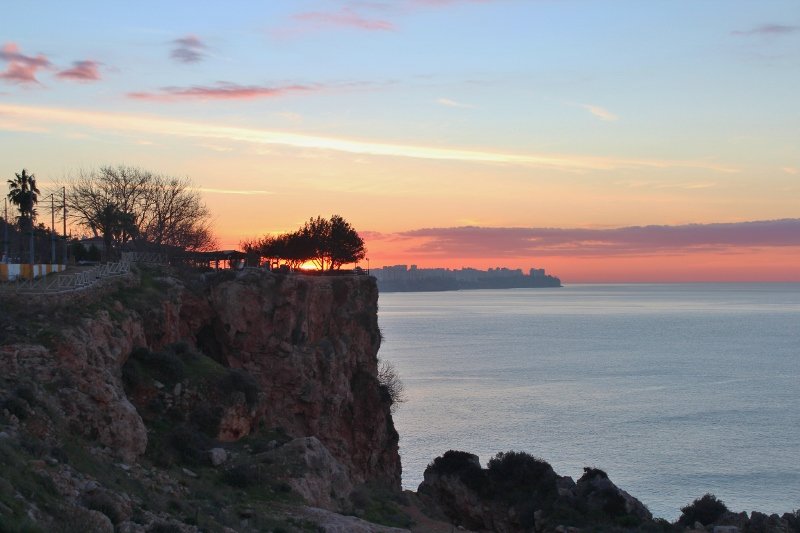 IMG_3461 (800x533).jpg