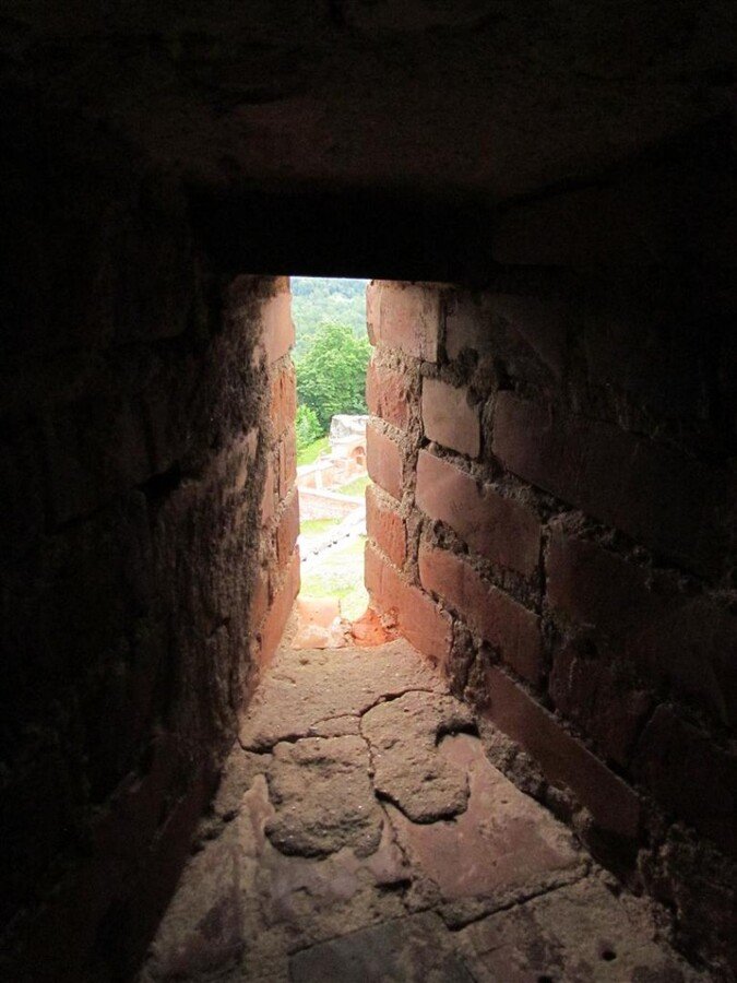 IMG_3462 (Large).jpg