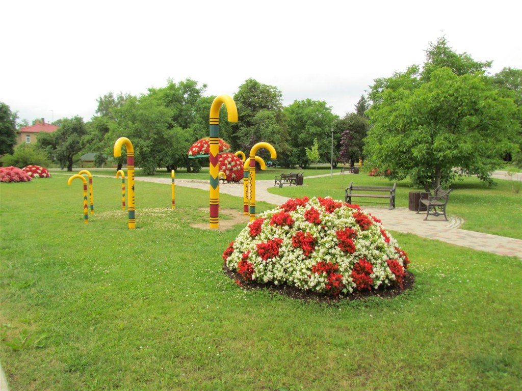 IMG_3469 (Large).jpg