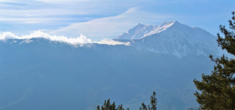 IMG_3514 BirleÃƒÂƒÃ‚Â…ÃƒÂ‚Ã‚ÂŸtirme (800x376).jpg