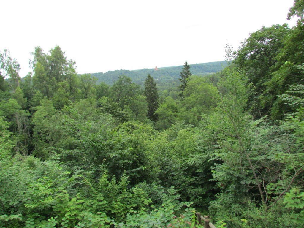 IMG_3516 (Large).jpg