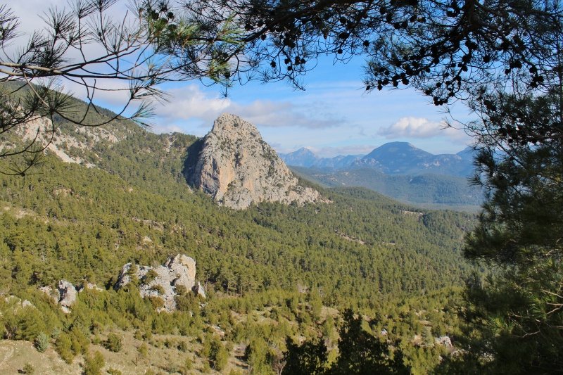 IMG_3517 (800x533).jpg