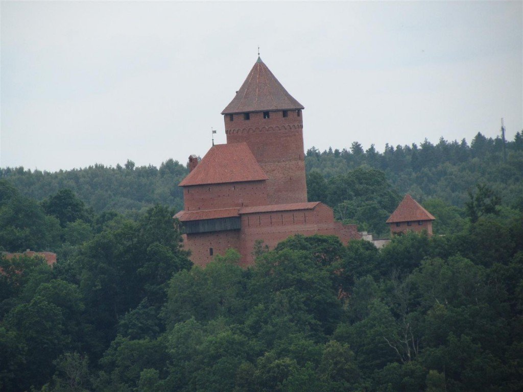 IMG_3522 (Large).jpg