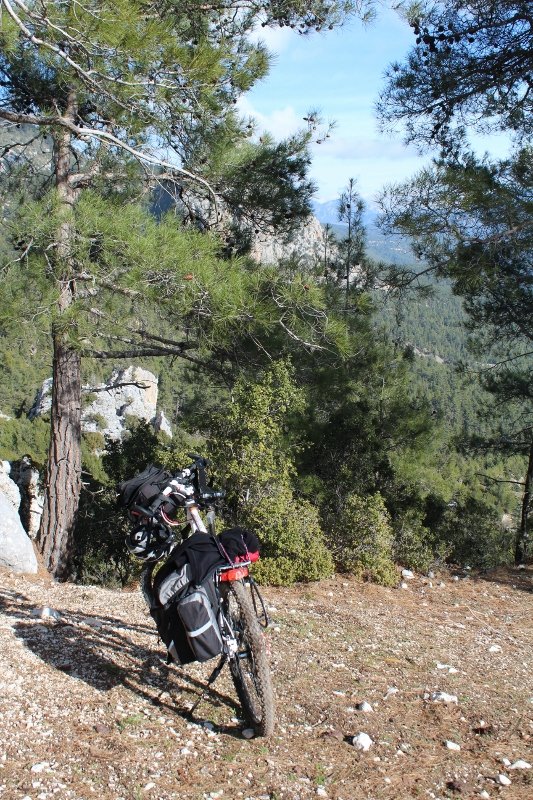 IMG_3526 (533x800).jpg