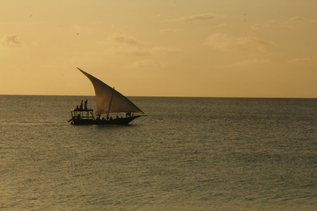 IMG_3531 (Large).JPG