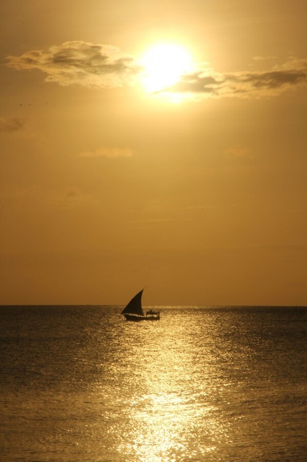 IMG_3542 (Large).JPG