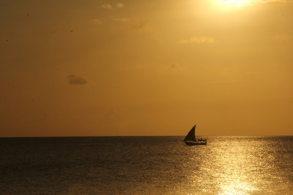 IMG_3544 (Large).JPG