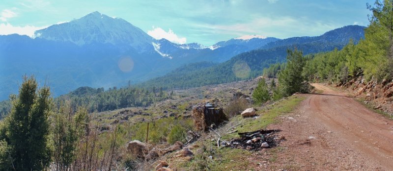 IMG_3548 BirleÃƒÂƒÃ‚Â…ÃƒÂ‚Ã‚ÂŸtirme (800x349).jpg