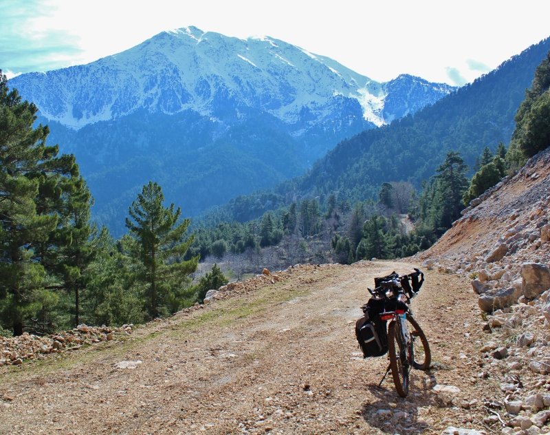 IMG_3564 (800x632).jpg