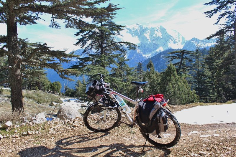 IMG_3593 (800x533).jpg