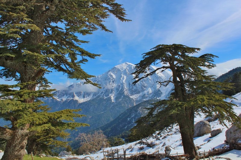 IMG_3602 (800x533).jpg